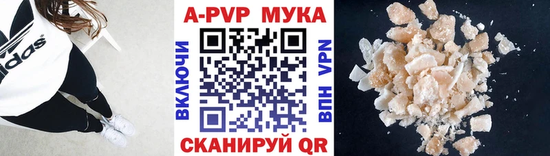 A PVP СК  Щёкино 