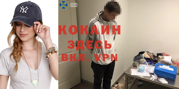 первитин Дмитриев