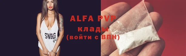 молекула духа Дмитров
