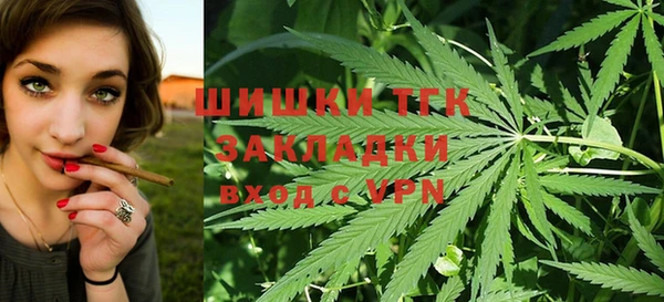 первитин Дмитриев