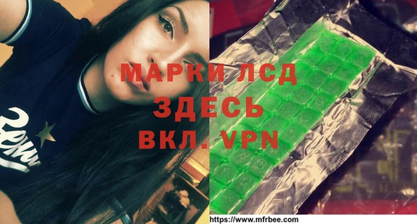 индика Гусь-Хрустальный