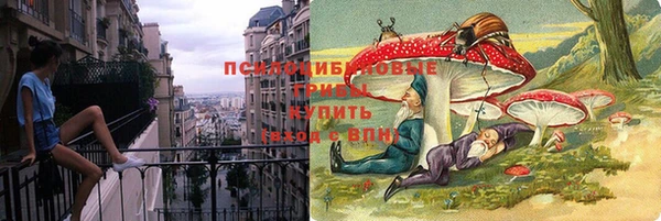 молекула духа Дмитров