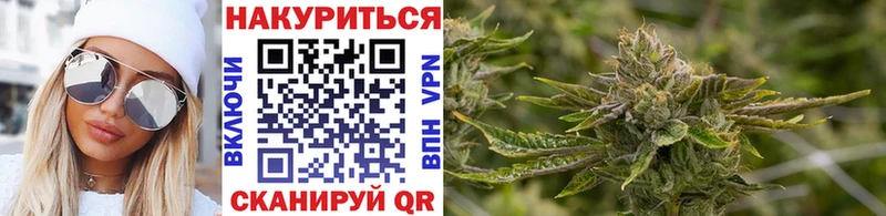 OMG зеркало  Щёкино  Каннабис сатива 